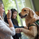 Illustration for article titled Puppies Are Running an Exam-Week Racket on College Campuses